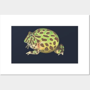 Argentine Horned Frog :: Reptiles and Amphibians Posters and Art